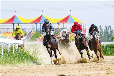 2024今晚香港开特马,今晚香港开特马，探索赛马文化，体验速度与激情