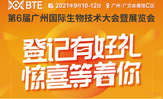 管家婆2024一句话中特,管家婆2024一句话中特，洞悉商业智慧，引领管理新潮