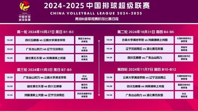 2024新澳资料免费精准资料,2024新澳资料免费精准资料概览