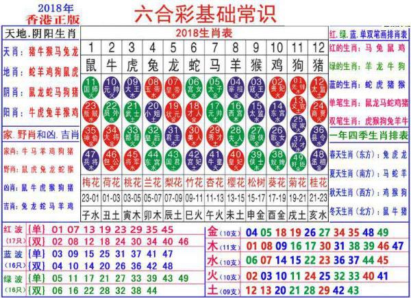 2024澳门正版资料大全资料生肖卡,澳门正版资料大全资料生肖卡——探寻背后的故事与奥秘