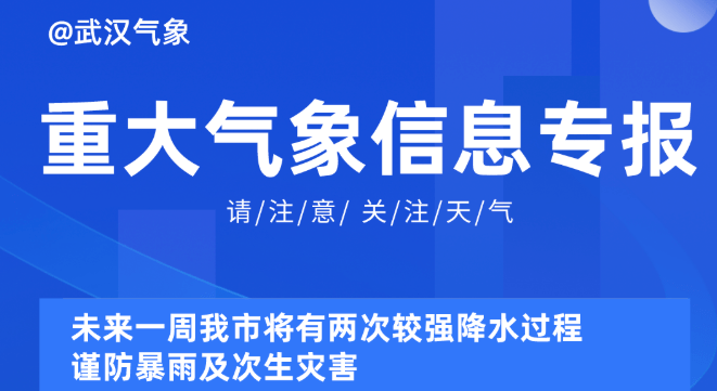 2025新奥资料免费精准051,探索未来，2025新奥资料免费精准共享时代