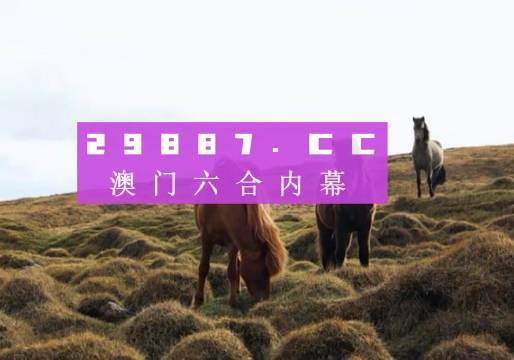 澳门开码,澳门开码，探索与解读