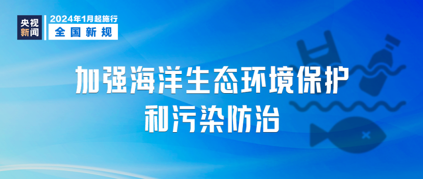 2025年免费下载新澳,迈向2025年，新澳资源免费下载的未来展望